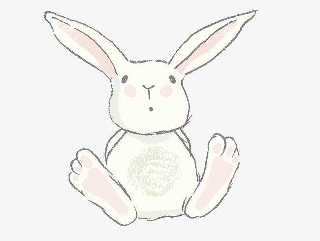 Figure.1. Rabbit